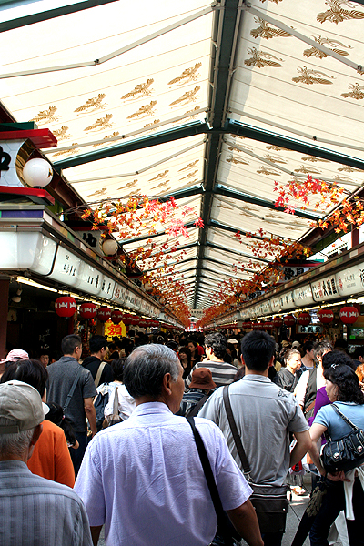 ������������������