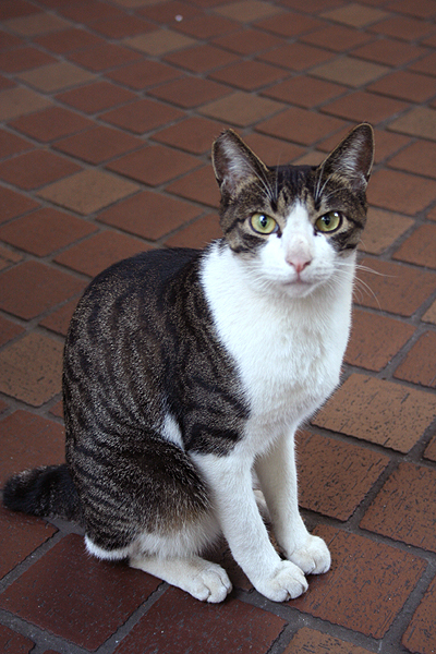 �p��������