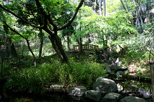 �����Ȍ���