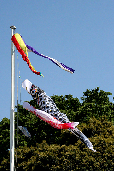 �����̂ڂ�