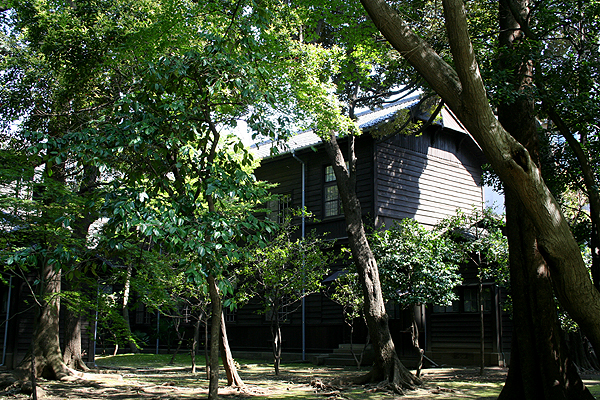 �΂������čL��