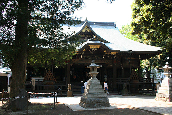 ����������A�ł�