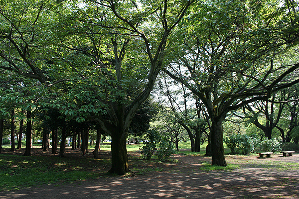 �������΂������ς�