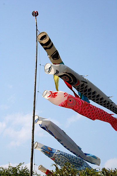 �����̂ڂ�