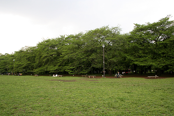 �܂�������������