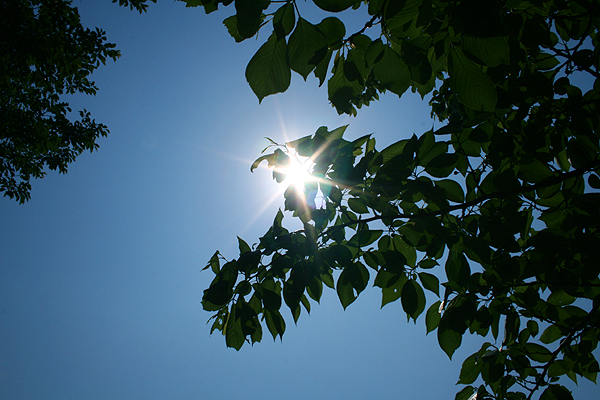 �������������̂Ȃ�̂���