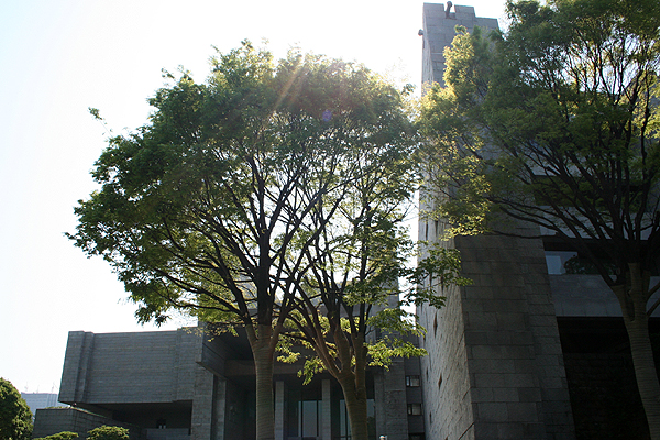 �ō��ٔ���