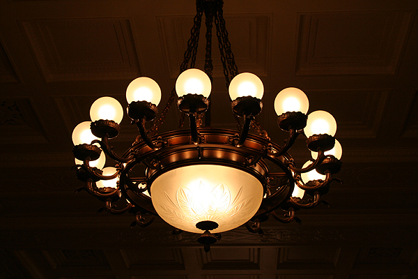 �V�����f���A