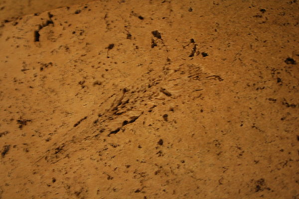 �G�r�̉���