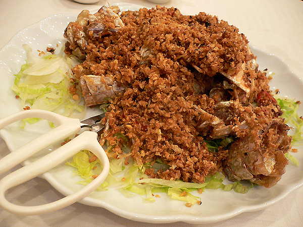 �V���R���炯