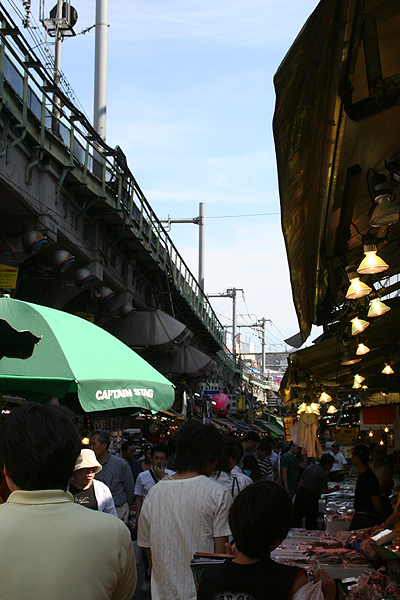 �����͂��̗L����