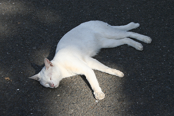 �����Ă܂�