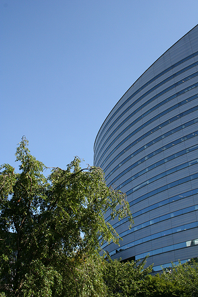 ���h�ȃr��