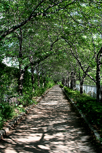 �����j���O���Ă�l�����܂���