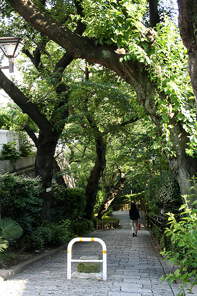 �s�v�c�ȍ⓹